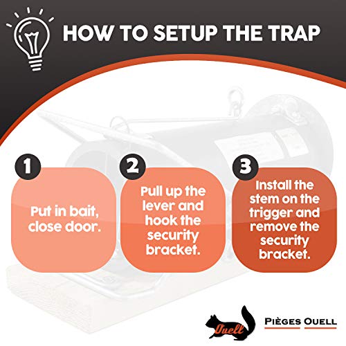 OUELL 3-10 | Snap trap, Spring trap, Deadly trap, Killing trap, Plastic trap, Metal trap, Human trap - //medicalbooks.filipinodoctors.org