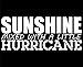 Sweet Tea Decals Sunshine Mixed with A Little Hurricane - 8