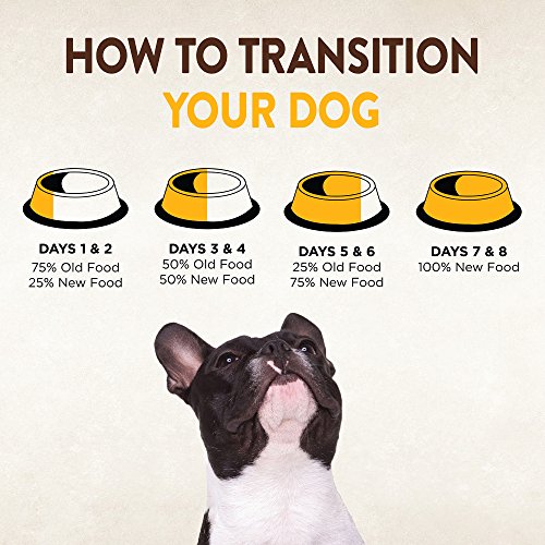 Wellness CORE Puppy Dog Food - Image 11