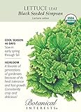 Black Seeded Simpson Lettuce Seeds - 1 gram - Organic