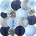 NICROLANDEE Frozen Theme Winter Wonderland Party Decoration - 16 Pcs Silver Glitter Paper Lanterns Honeycomb Balls Tissue Pom Poms for Kids Birthday Party Supplies Bridal Shower Wedding Decor
