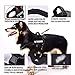 Upgrade Version-Dog Vest Harness,Pet Dog Adjustable Padded Mesh Vest Body Harness with Large Handle, Comfort control for Medium large dogs, Perfect for Daily Training, Walking, Hiking, No Choking-L
