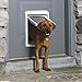 PetSafe SmartDoor Plus Pet Door, Selective Entry/Exit with Programmable Timer