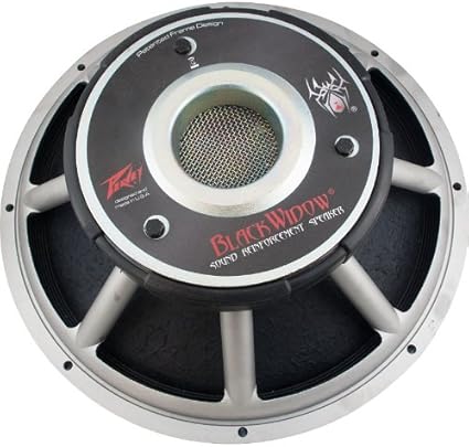speaker bw 15 inch