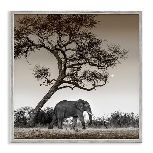 Stupell Industries Elephant & Curved Desert Tree Gray Framed Giclee Art Design…