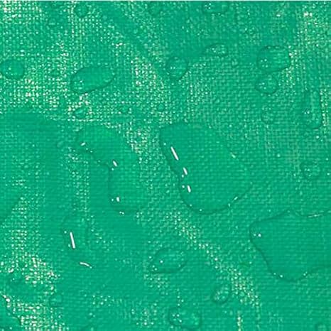 ZQZP Grueso Doble Verde Lona Pl&aacute;stica Impermeable A Prueba De Lluvia Sombrilla Impermeabilizante El&eacute;ctrica Tres Ruedas Toldo Lona Impermeable Pa&ntilde;o Protector Solar Lona 180g M2 Tama&ntilde;o : 4 * 5m