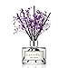 COCODOR Preserved Real Flower Reed Diffuser/French Lavender / 6.7oz(200ml) / 1 Pack/Reed Diffuser Set, Oil Diffuser & Reed Diffuser Sticks, Home Decor & Office Decor, Fragrance and Gifts