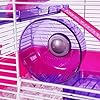 Rosewood Pico Exercise Wheel for Hamsters with Stand, Purple