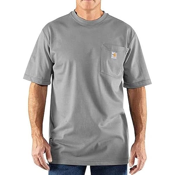 Amazon.com: Carhartt Men's Fr Solid Short Sleeve Work Shirt Grey