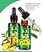 Ginger Germinal Oil, Hair Growth Oil, 2019 Hair Growth Ginger Essential Oil, Ginger Germinal Essential Oil，Hair Loss Treatment Hair Care Hair Growth Serum for Men & Women 30mlthumb 3