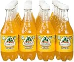 Jarritos mango plastic 500ml (090478415109)