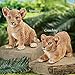 Collections Etc Lion Cub Animal Garden Statues - Realistic Textured Hand-Painted Figurine for Yard or Any Room in Home
