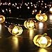 Fall String Lights Harvest Decoraions - 10ft 40LEDs Smooth Surface Pumpkin Themed Fairy Lights with Remote & Timer Flicker Mode Ideas for House, Wedding, Cosplay, Birthday, Bedroom, Porch Decor