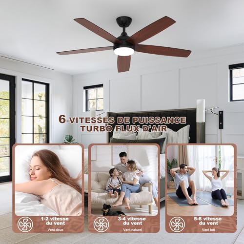 Dorlink Ceiling Fan with Light and Remote Control, 132 cm, Silent DC Motor, Ceiling Fan with Light for Bedroom, Living Room, Kitchen, Black/Walnut