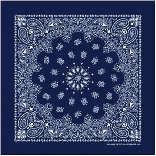HAV-A-HANK Genuine MADE IN USA Bandanna Handkerchief 22 in Extra