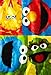 Sesame Street Color Block Buddies Super Plush Throw Blanket