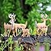 White-Tailed Deer Family Figurines (6-Figure Set); 2 Bucks, 2 Does, 2 Fawns 2 to 4” Tall