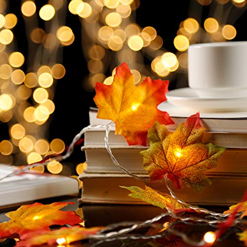 HUBORLOVES Thanksgiving Fall Marple Leaves Decorations Fairy String Lights with Remote 0 ft 40 LED 3 AA Battery Operated Marple Leaf Light for Indoor Outdoor Bedroom Holiday Party Halloween Decor