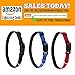 Premium Dog Collars | Reflective Lines for Safer Night Walks | Padded Webbing Protects Dogs From Rashes | Weather-proof Nylon Material Will Not Bleed Color | For Medium & Large Dogs | Red
