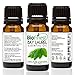 BioFinest Bay Laurel Oil - 100% Pure Bay Laurel Essential Oil - Boost Mental Alertness, Fight Fatigue - Premium Quality - Therapeutic Grade - Best For Aromatherapy - FREE E-Book (10ml)