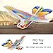 Dilwe Flying RC e-Birds, Remote Control Eagle Parrot Birds Kids Children Toys (Two Types) (Orange and Blue Wing)