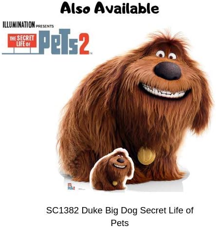 Star Cutouts Ltd SC1379 Mel Pug Dog Secret Life of Pets Lifesize Cardboard Cutout/Standee/Standup Height 91cm Width 67cm Perfect for Fans Collectors and Events - Image 4