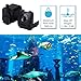 Maxesla Submersible Pump 145GPH (550L/H) Fountain Water Pump For Pond/Aquarium/Fish Tank/Statuary/Hydroponics with 5.9ft (1.8M) Power Cord
