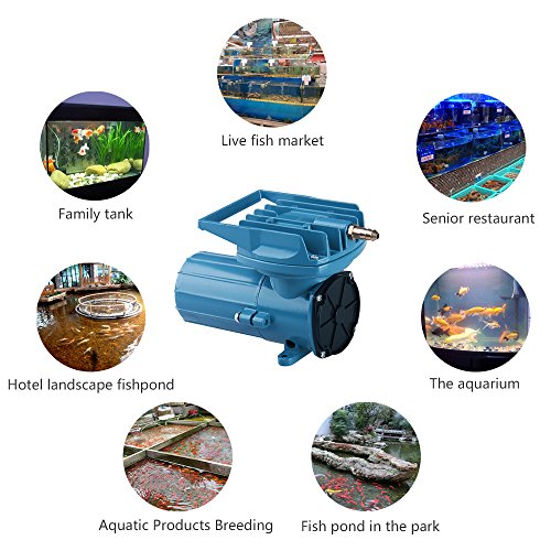 HEALiNK DC 12V 68LPM/Min 1078GPH 35W Aquarium Air Pumps Compressor Aerator for Aquaculture Fish Pond