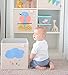 Toy Storage Box Bin Organizer Collapsible, Cloud- 100% Money Back Guarantee