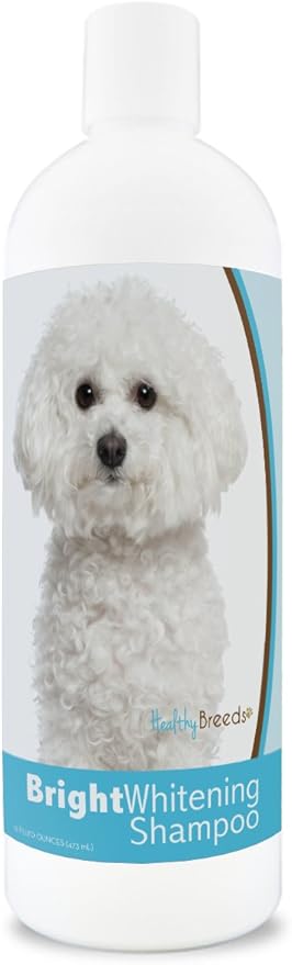 bichon frise shampoo