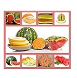 Heirloom Fruit Seeds- Non Hybrid- Real Survival Seeds. Honeydew Green Melon, Banana Melon, Honey Rock Cantaloupe, Watermelon Crimson Sweet, Sugar Baby Watermelon Seeds, Hales Best Jumbo Melon,Non GMO
