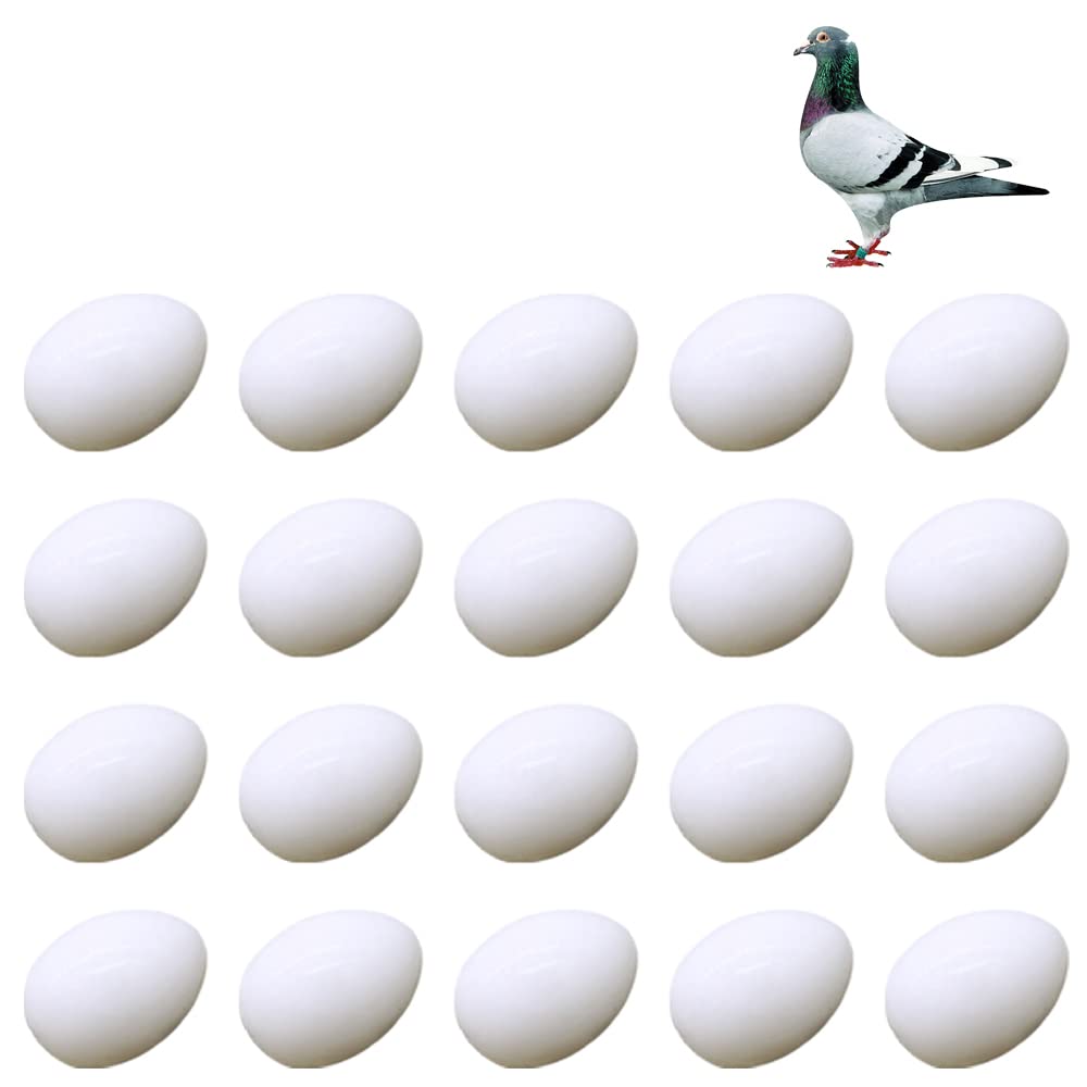 JVHLOV 20x Solid Plastic Dummy Fake Eggs, Dummy Eggs Dove, Simulation Bird Egg Bird Breeding Tool