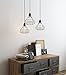 Rustic State Pendant Light Shades Light Bulb Covers 15
