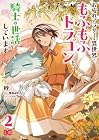お疲れアラサーは異世界でもふもふドラゴンと騎士の世話をしています 第2巻