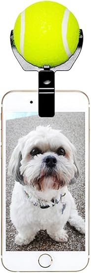 pooch selfie amazon