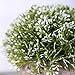 HC STAR Artificial Plant Potted Mini Fake Plant Decorative Lifelike Flower Green Plants