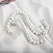 RuiLing 5-Pack White Pearl Beads Hanging S Hooks S Shape Non-Slip Ornament Hook- S Shaped Creativity S Hooks, for Closets, Wardrobe, Clothing Shop, Shopping Mall
