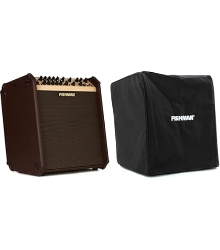 Amazon.com: Fishman 180 Watts Loudbox Performer Amplifier Bundle