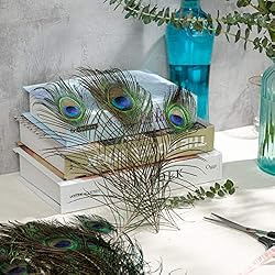 Piokio 100 pcs Natural Peacock Feathers in Bulk