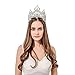 DcZeRong Women Crowns Queen Crowns For Women Prom Pageant Party Rhinestone Crystal Women Birthday Queen Crowns Standard Size Full Round Tiaras Crowns