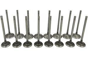 Mievlyo Engine Intake and Exhaust Valves Kits For Chevy Equinox GMC Terrain 2007-2017 for Buick Lacrosse Regal 2.0 2.4L Engine, Replace 12596034 12615936 24434464 24454518