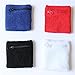 EraseSIZE Fitness Sport Wrist Band Wallet Cycling Zipper Wrist Strap Bracers Safe Wallet for Cross Training Yoga Weight Lifting General Workoutthumb 2