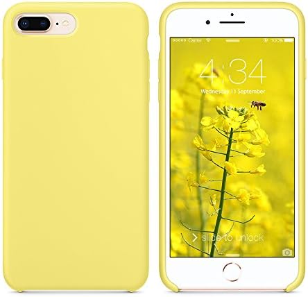 brassière avec coque