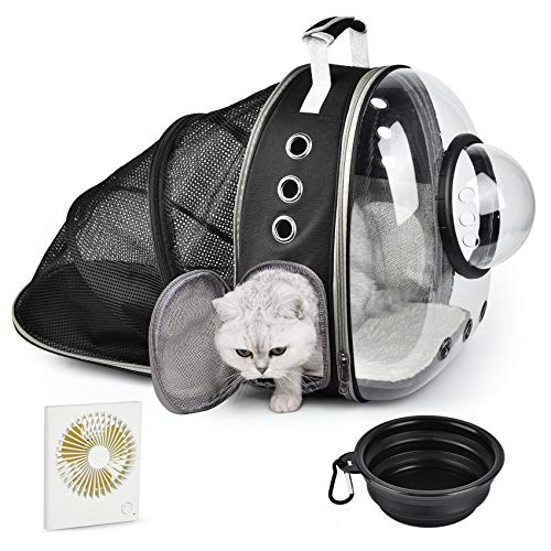 cat bubble backpack