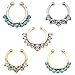 Aoyoho Pack of 5 Clip On Jewelry Fake Septum Clicker Nose Ring Non Piercing