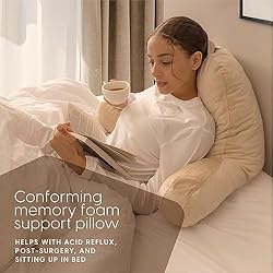 Milliard Reading Pillow with Shredded Memory