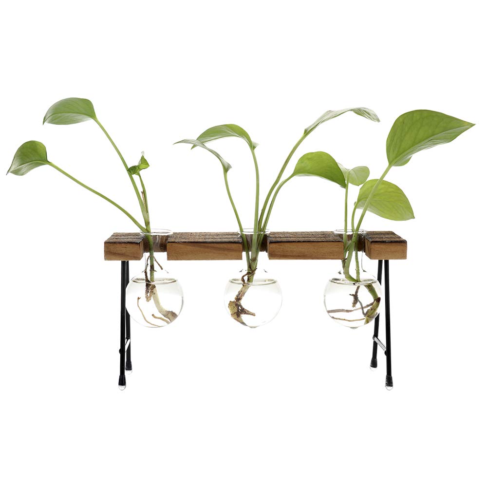 belupai Desktop Decorations, Clear Glass Beaker Vase Planter with Retro Solid Wooden Stand Metal Holder for Hydroponics Plants, Home/Garden/Wedding/Decor (3 Beaker Vase)