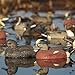 Avery GHG Hunter Series Life Size Wigeon Waterfowl Floating Hunting Decoys (6-Pack) | Ultra-Realistic Carvings and Paint Schemes | 60/40 Dura-Keel Design | 4 Drakes, 2 Hens - 73043