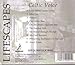 Celtic Voice