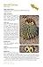 Sonoran Desert Food Plants:: Edible Uses for the Desert's Wild Bounty